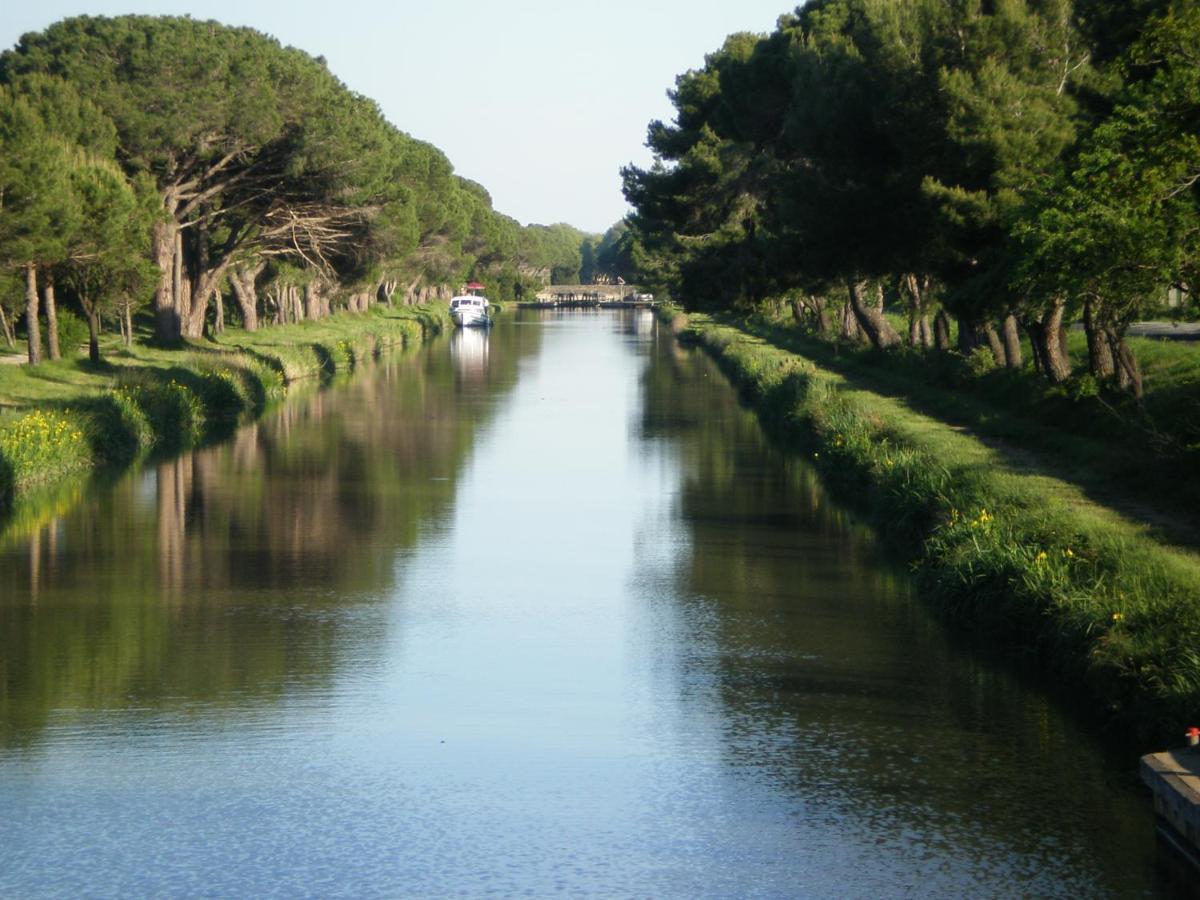 Domaine De L'Herbe Sainte Mirepeisset Eksteriør bilde