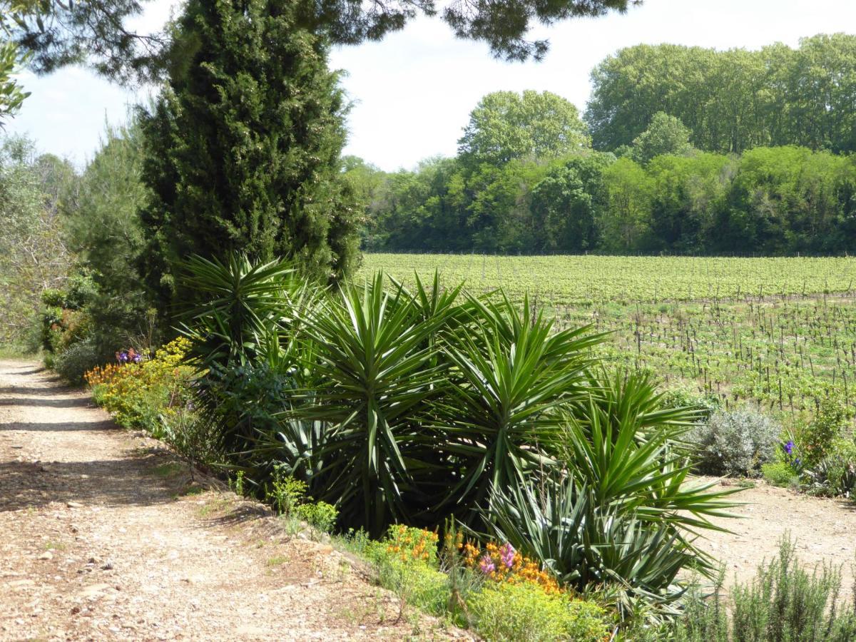 Domaine De L'Herbe Sainte Mirepeisset Eksteriør bilde