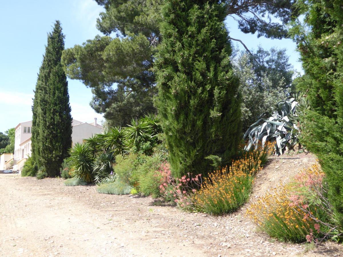 Domaine De L'Herbe Sainte Mirepeisset Eksteriør bilde
