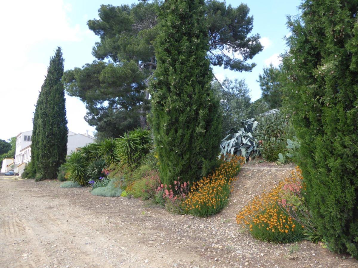 Domaine De L'Herbe Sainte Mirepeisset Eksteriør bilde