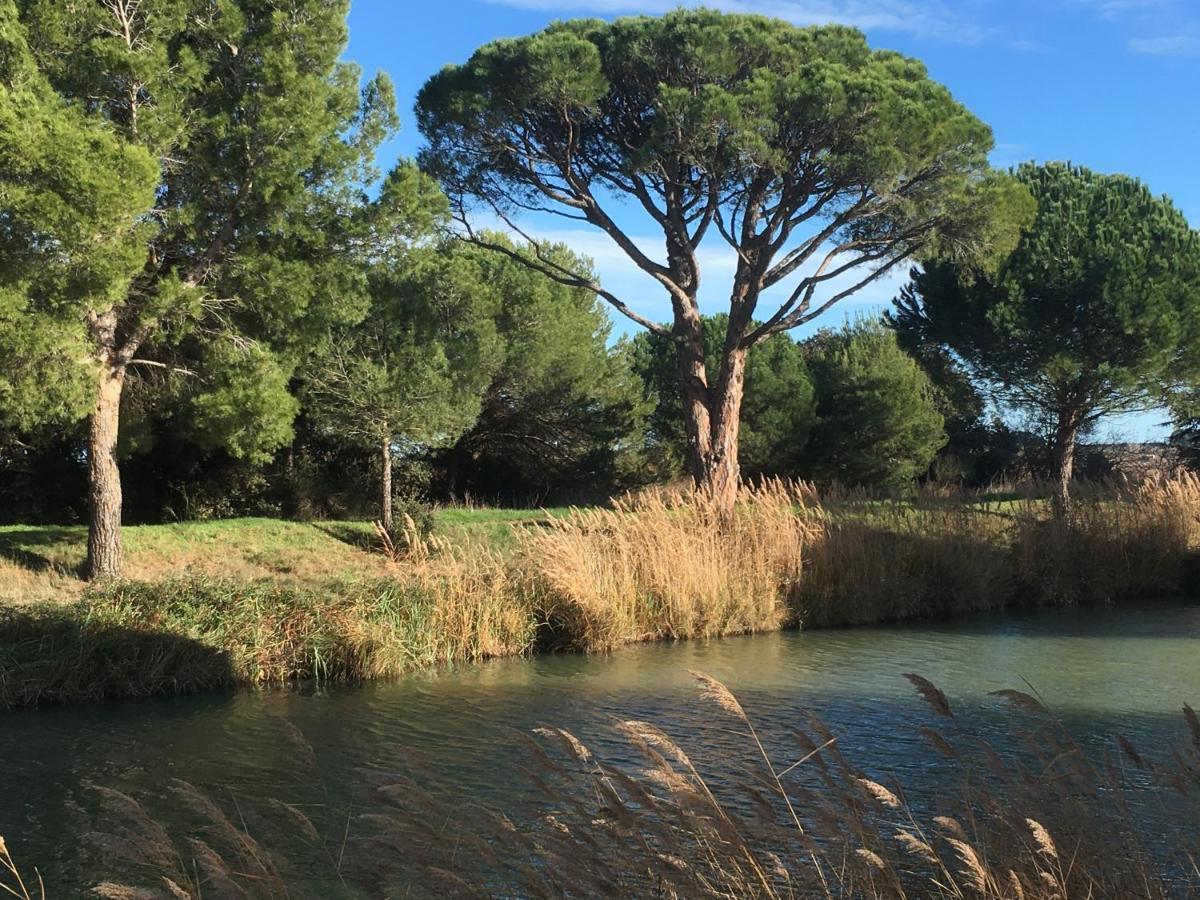 Domaine De L'Herbe Sainte Mirepeisset Eksteriør bilde