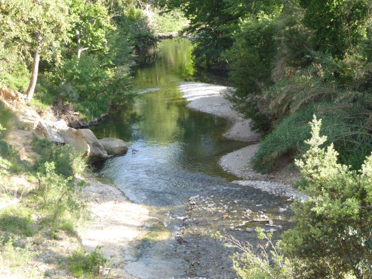 Domaine De L'Herbe Sainte Mirepeisset Eksteriør bilde