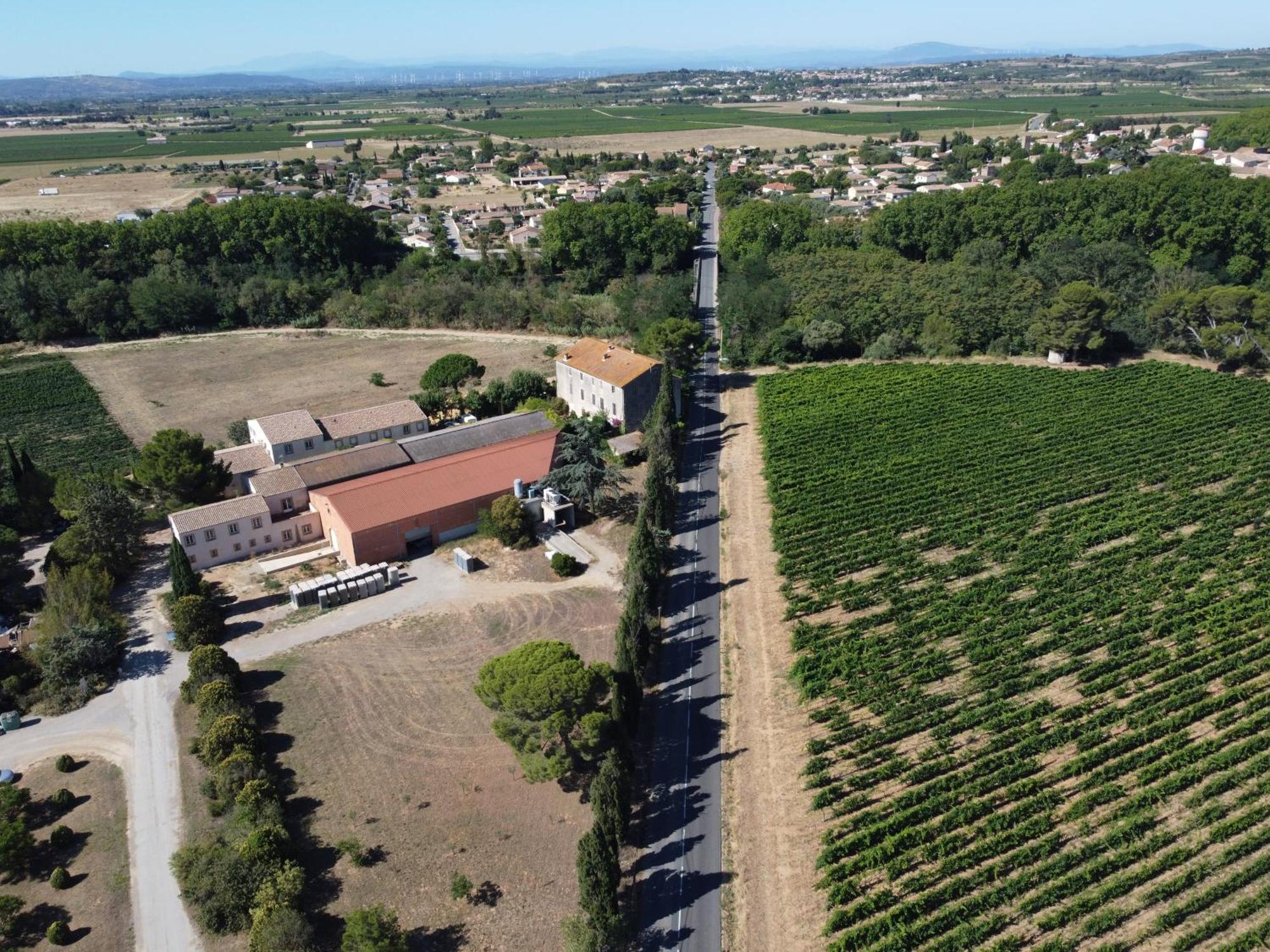 Domaine De L'Herbe Sainte Mirepeisset Eksteriør bilde