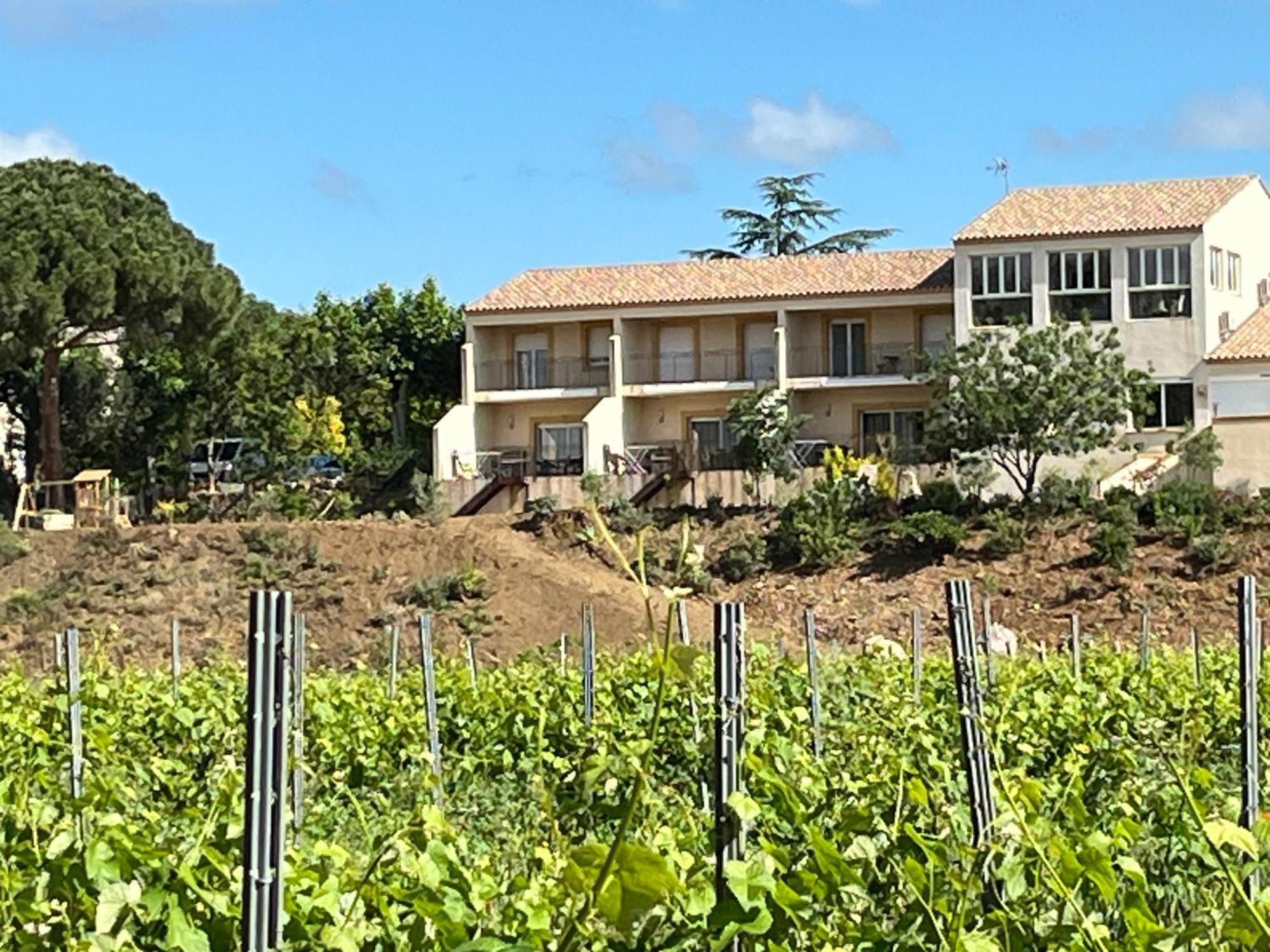 Domaine De L'Herbe Sainte Mirepeisset Eksteriør bilde